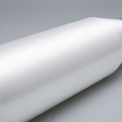 PA66 Monofilament Yarn 0.08mm 0.10mm 0.12mm 0.14mm 0.16mm  Nylon Monofilament Sewing Thread PA66 Nylon Embroidery Monofilament